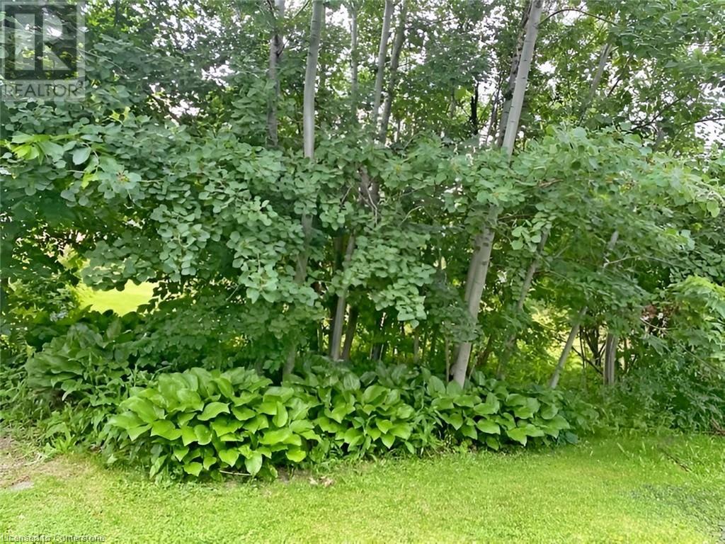 96 Second Road E, Hamilton, Ontario  L8J 3J2 - Photo 25 - 40721951