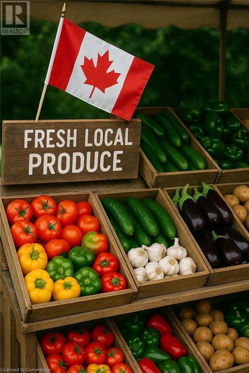 96 Second Road E, Hamilton, Ontario  L8J 3J2 - Photo 47 - 40721951