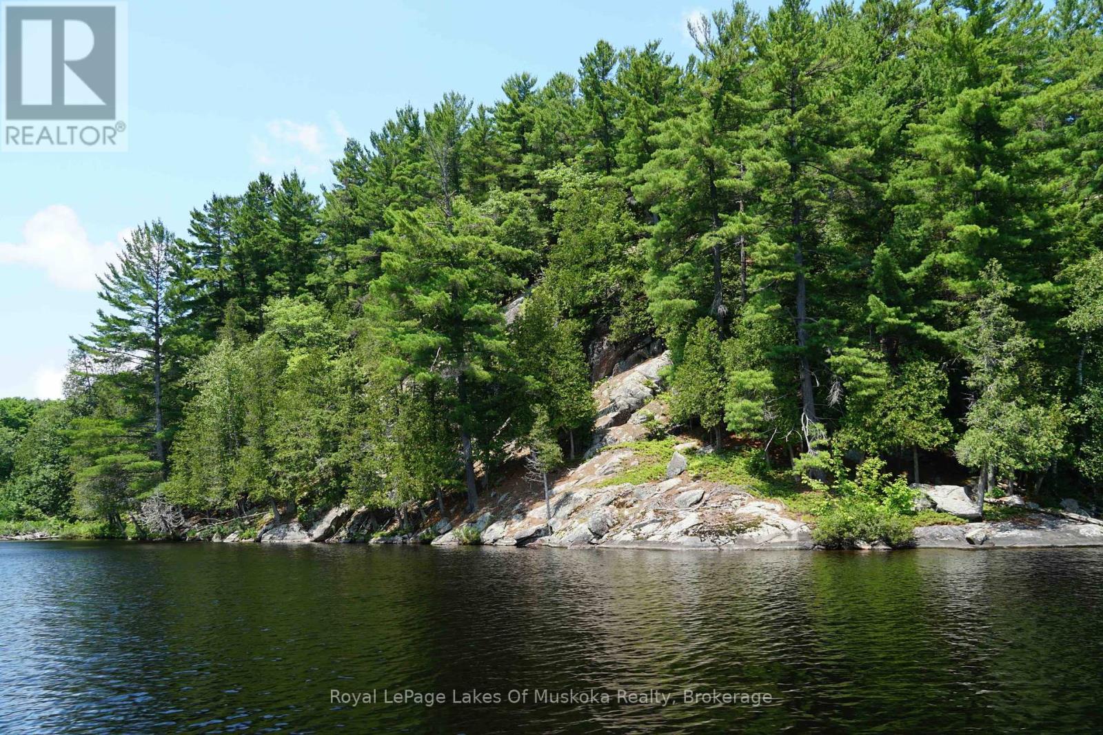 29 Thorburn Lane, Huntsville, Ontario  P1H 0C3 - Photo 17 - X12106255