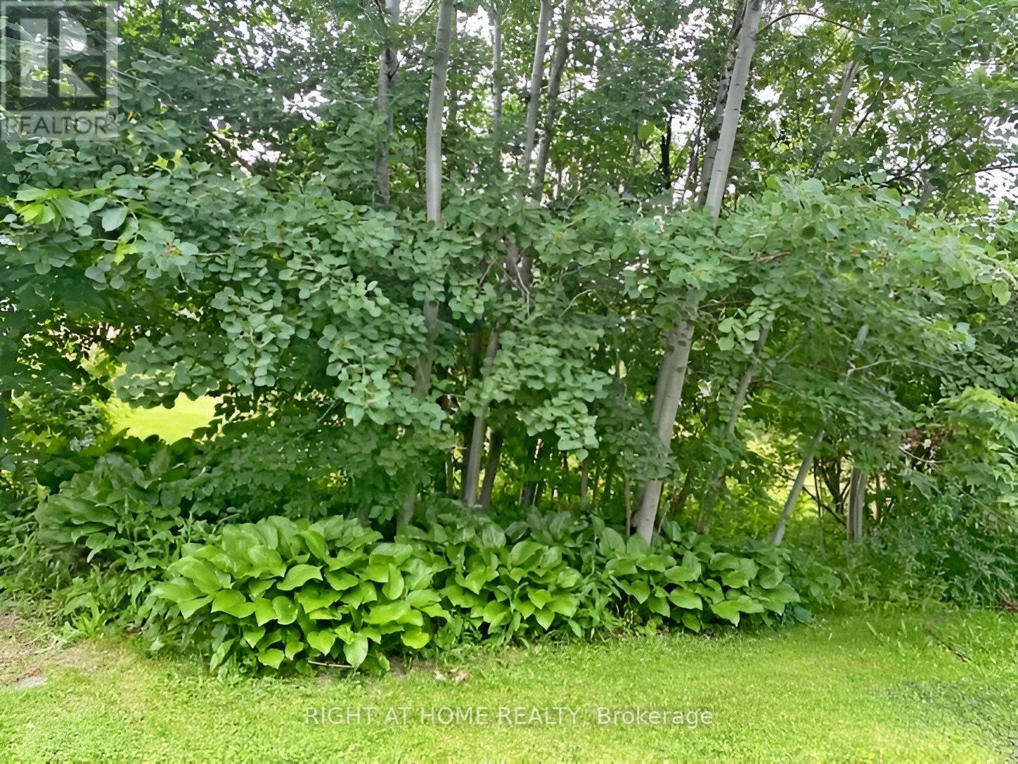 96 Second Road E, Hamilton, Ontario  L8J 3J2 - Photo 28 - X12106971