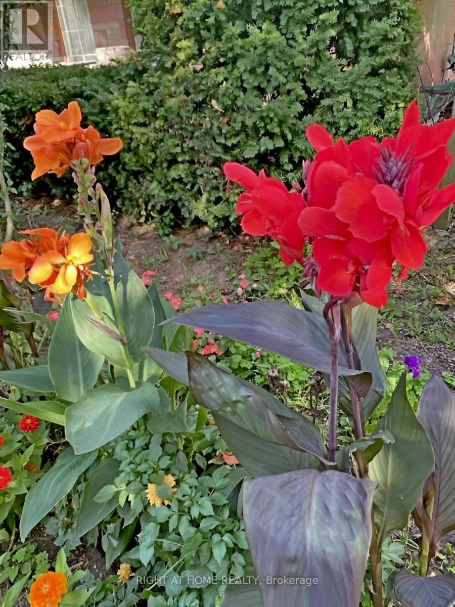 96 Second Road E, Hamilton, Ontario  L8J 3J2 - Photo 25 - X12106971