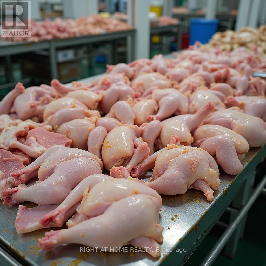 96 Second Road E, Hamilton, Ontario  L8J 3J2 - Photo 49 - X12106971