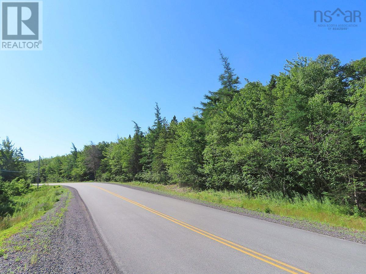 195 Acres West Bay Highway, Roberta, Nova Scotia  B0E 3K0 - Photo 34 - 202509009