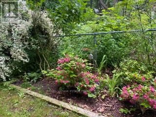 Property at 3 SPRINGBANK AVENUE image 4