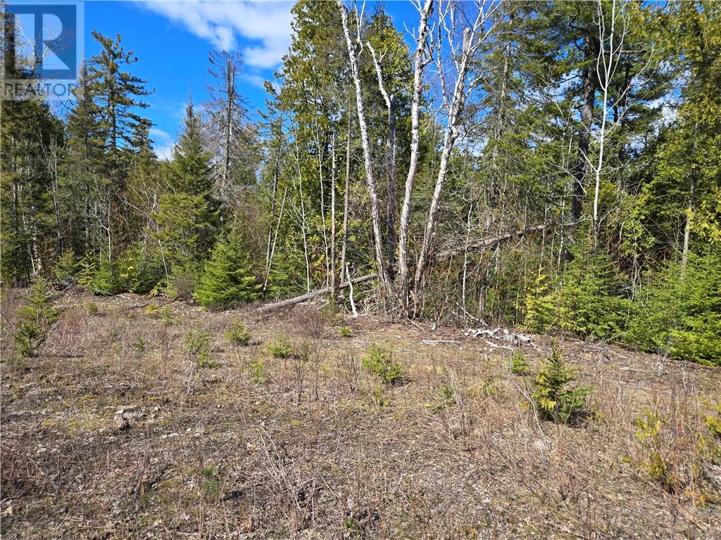 Lot 5 31m-209 Water Street, Meldrum Bay, Ontario  P0P 1R0 - Photo 8 - 2121777