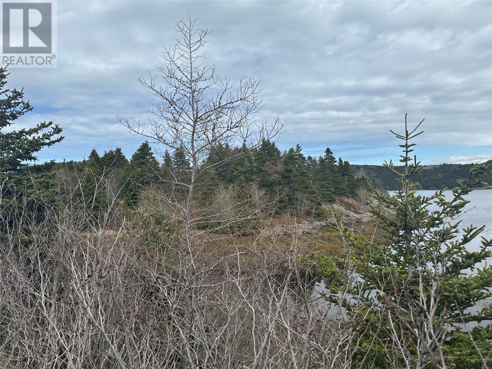 12-16 Back Cove Road, Avondale, Newfoundland & Labrador  A0A 1B0 - Photo 8 - 1284207