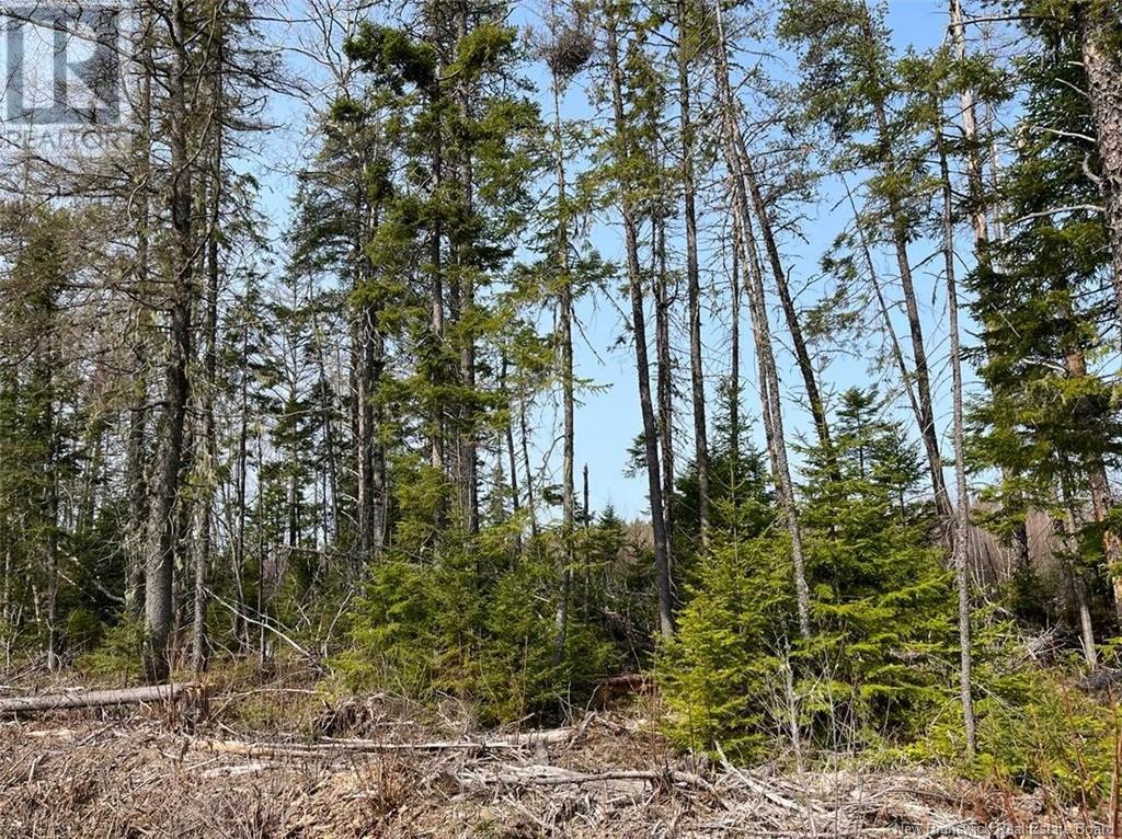 Lot 01 Beaverbrook Road, Miramichi, New Brunswick