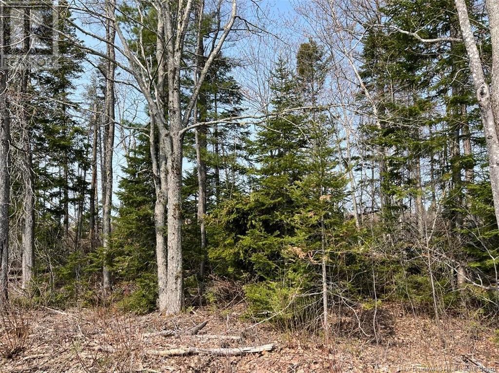 Lot 02 Beaverbrook Road, Miramichi, New Brunswick