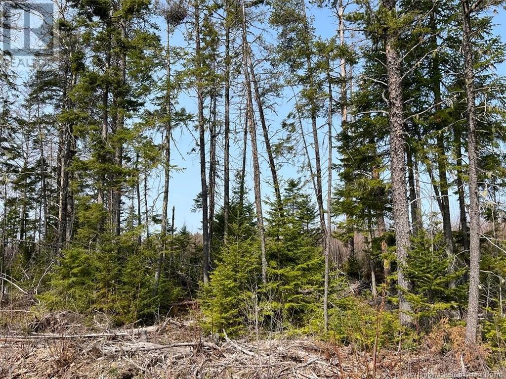 Lot 03 Beaverbrook Road, Miramichi, New Brunswick