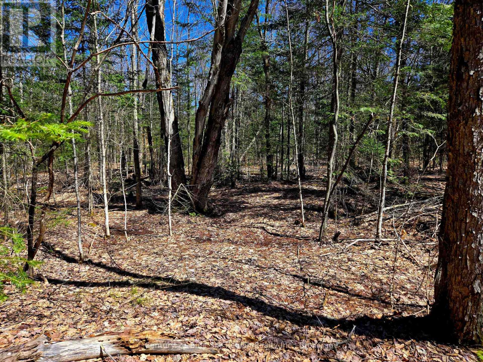 3267 HIGHWAY 534, Nipissing, Ontario