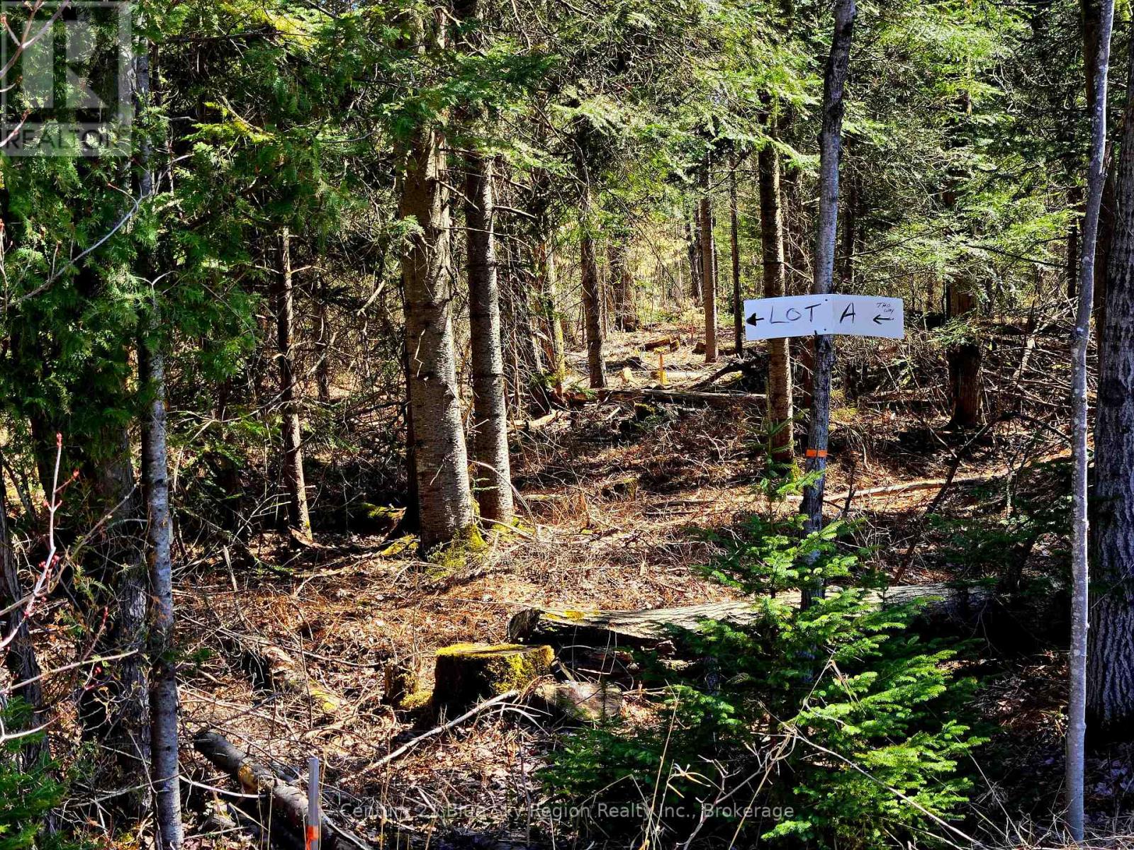 3267 Highway 534, Nipissing, Ontario  P0H 1W0 - Photo 18 - X12107393