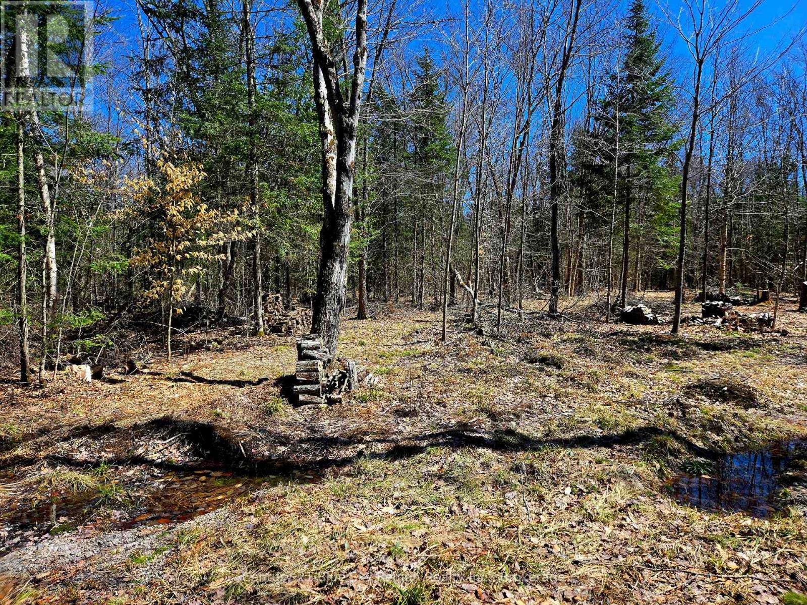 3267 Highway 534, Nipissing, Ontario  P0H 1W0 - Photo 8 - X12107393