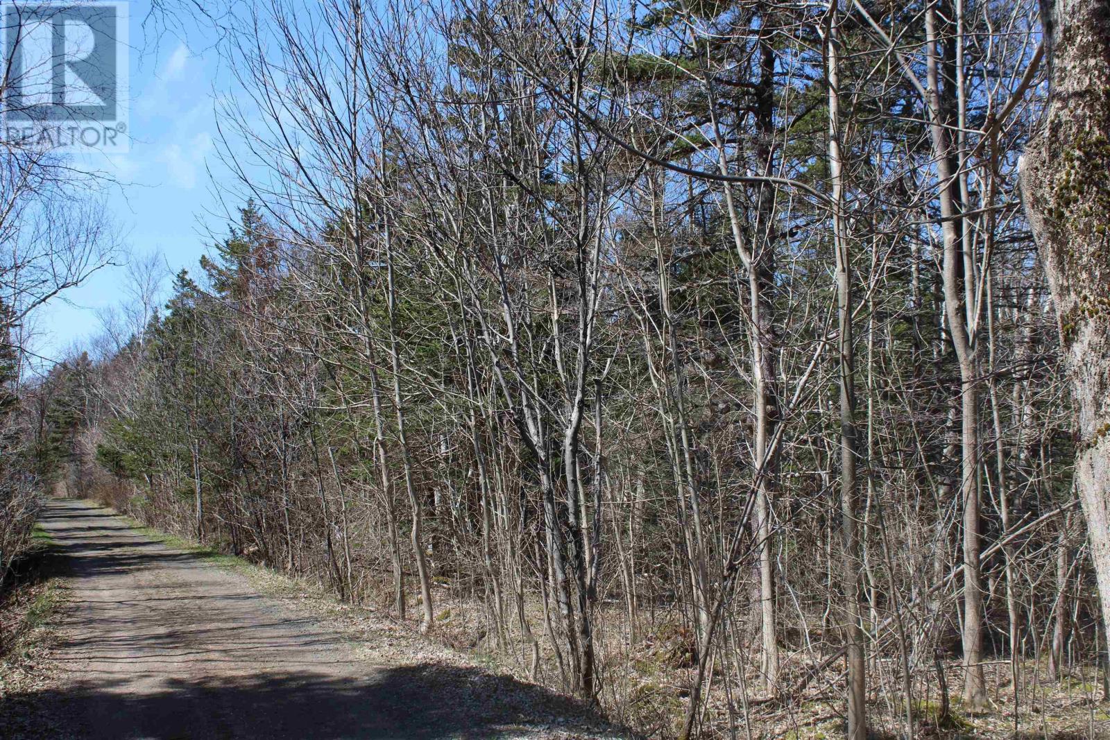 Lot D Old Litchfield Wharf, Litchfield, Nova Scotia  B0S 1A0 - Photo 6 - 202509056