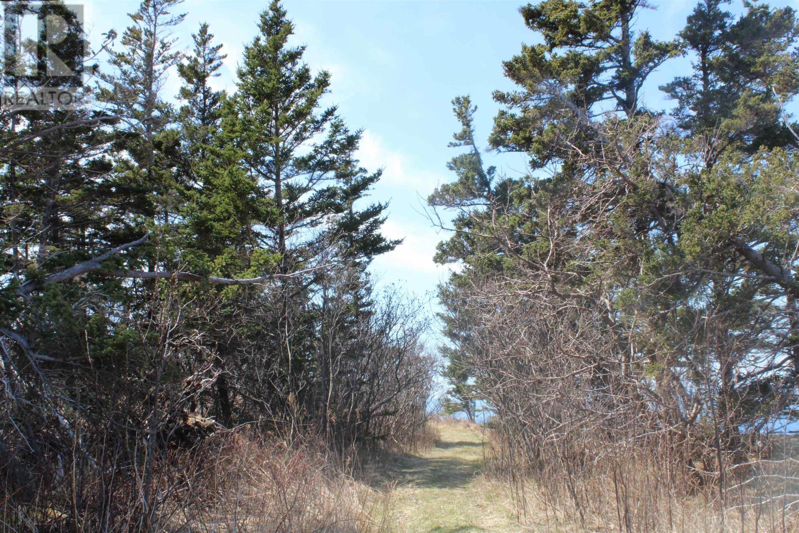 Lot D Old Litchfield Wharf, Litchfield, Nova Scotia  B0S 1A0 - Photo 7 - 202509056