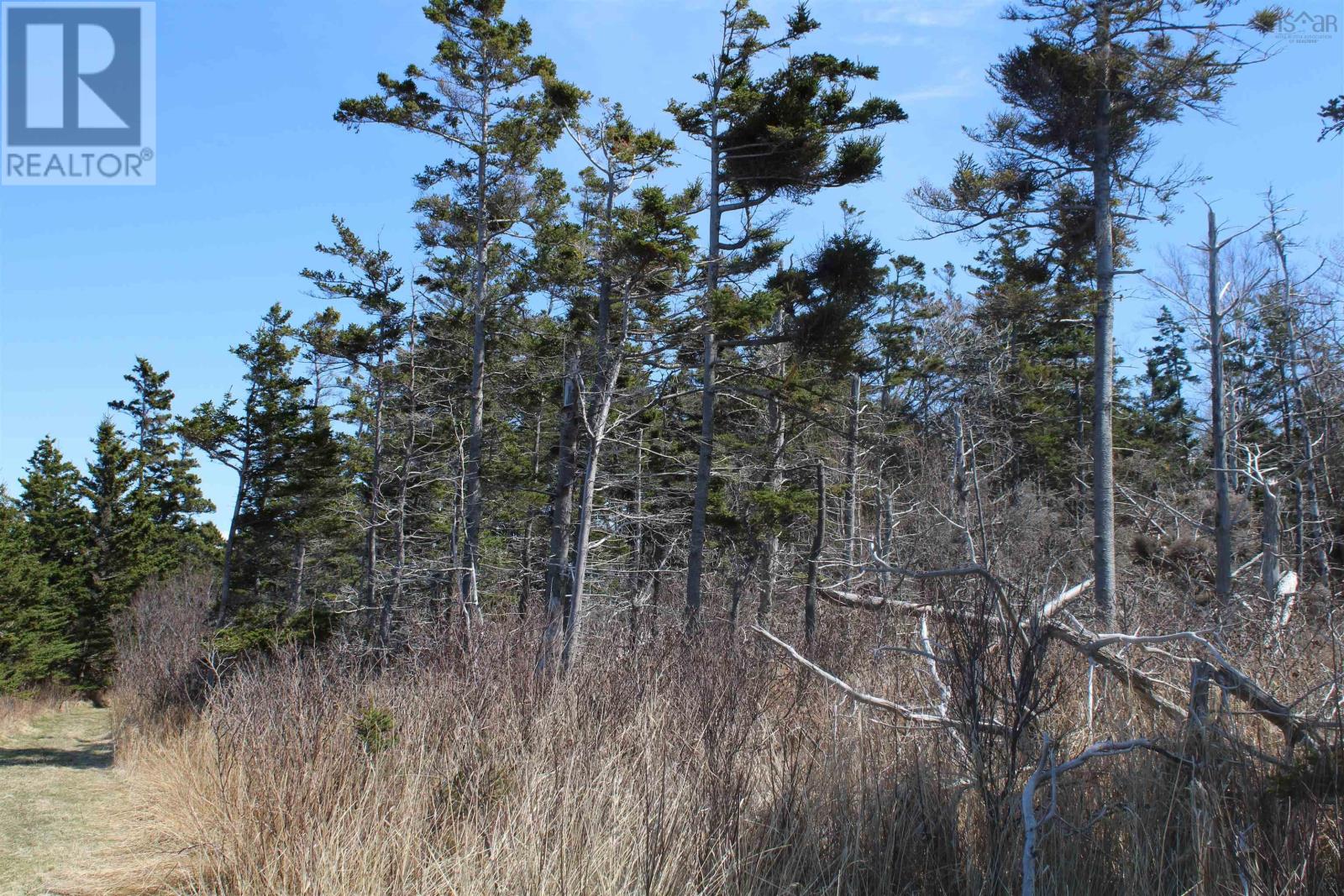 Lot D Old Litchfield Wharf, Litchfield, Nova Scotia  B0S 1A0 - Photo 8 - 202509056