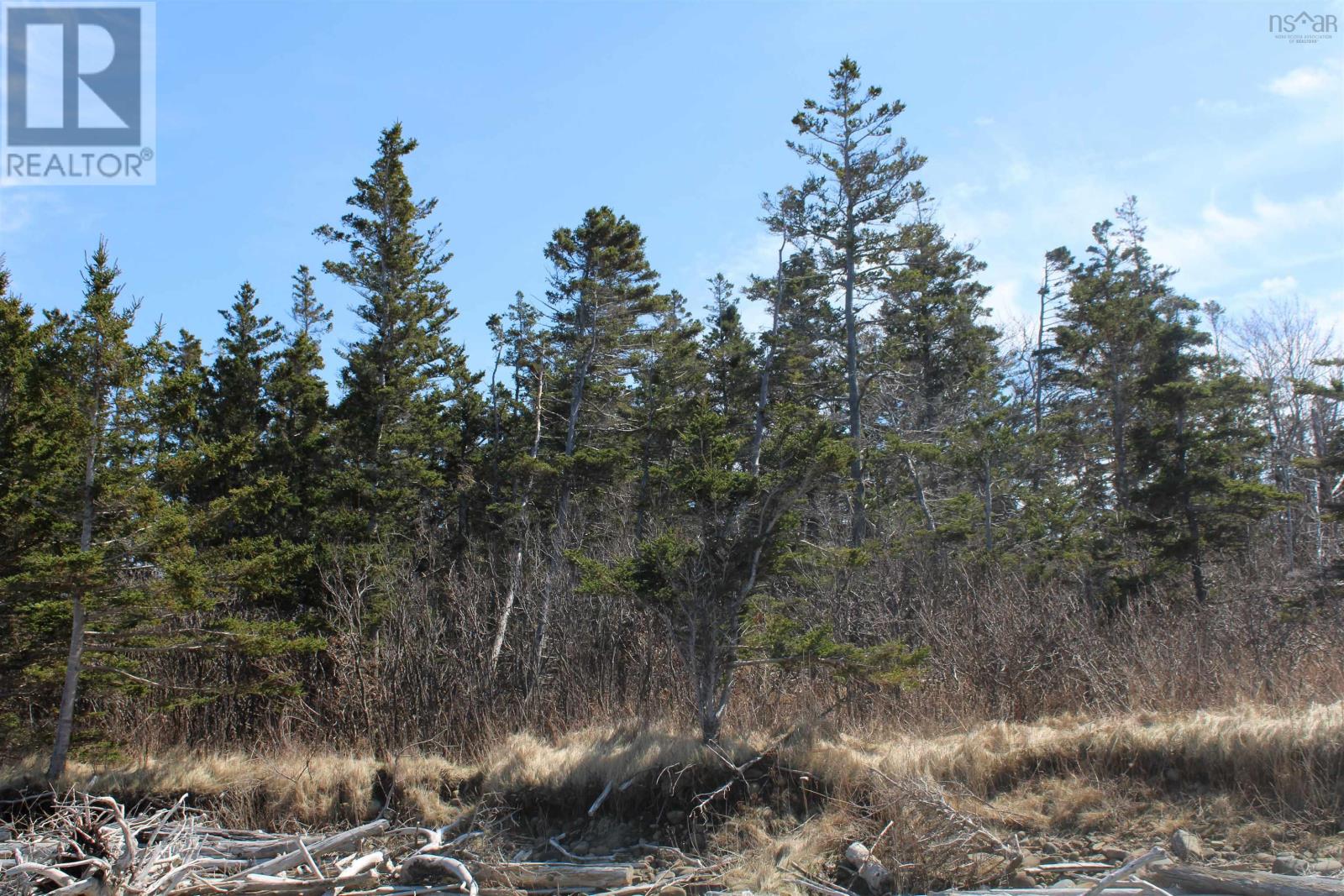 Lot D Old Litchfield Wharf, Litchfield, Nova Scotia  B0S 1A0 - Photo 9 - 202509056