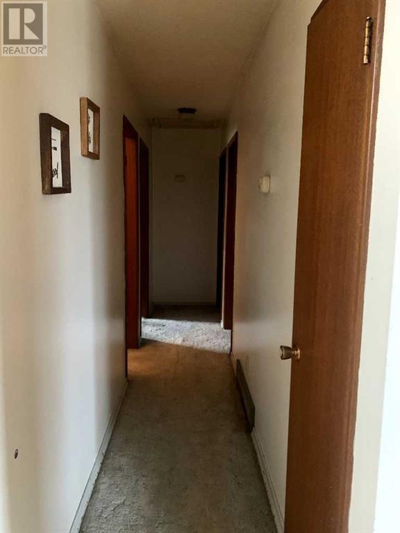 5114 Imperial Avenue, Coronation, Alberta  T0C 1C0 - Photo 10 - A2215355
