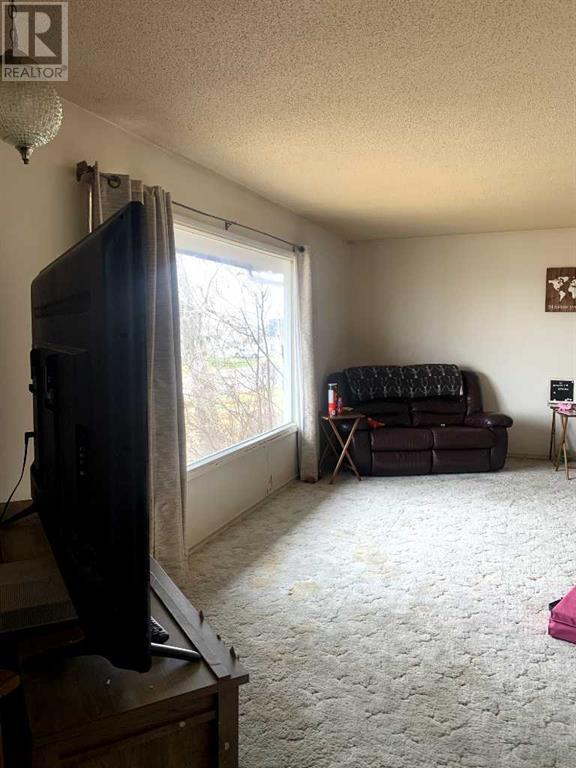 5114 Imperial Avenue, Coronation, Alberta  T0C 1C0 - Photo 5 - A2215355