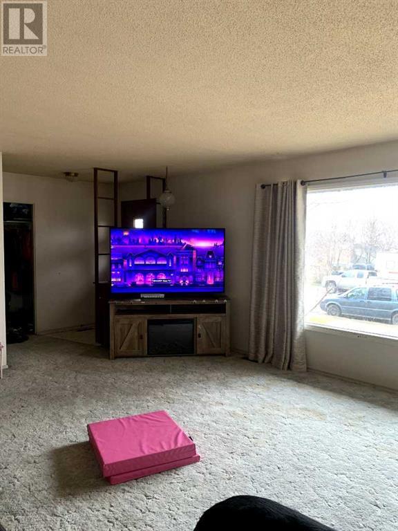 5114 Imperial Avenue, Coronation, Alberta  T0C 1C0 - Photo 6 - A2215355