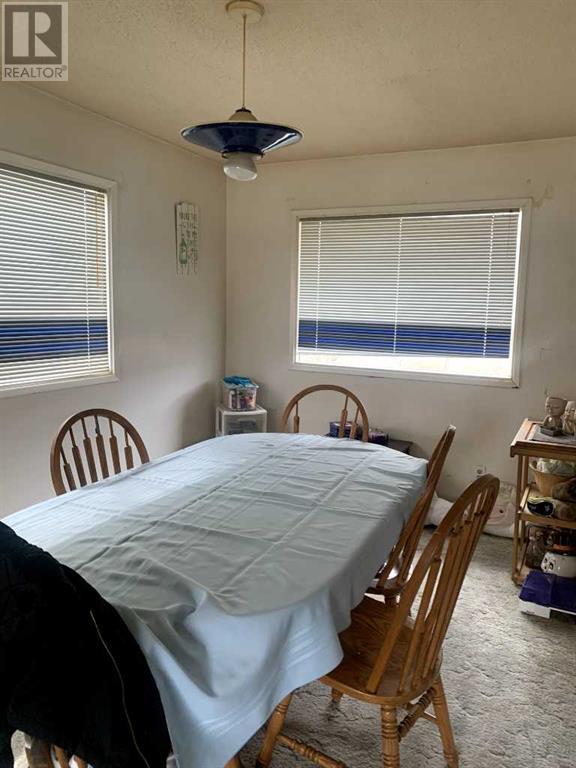 5114 Imperial Avenue, Coronation, Alberta  T0C 1C0 - Photo 8 - A2215355