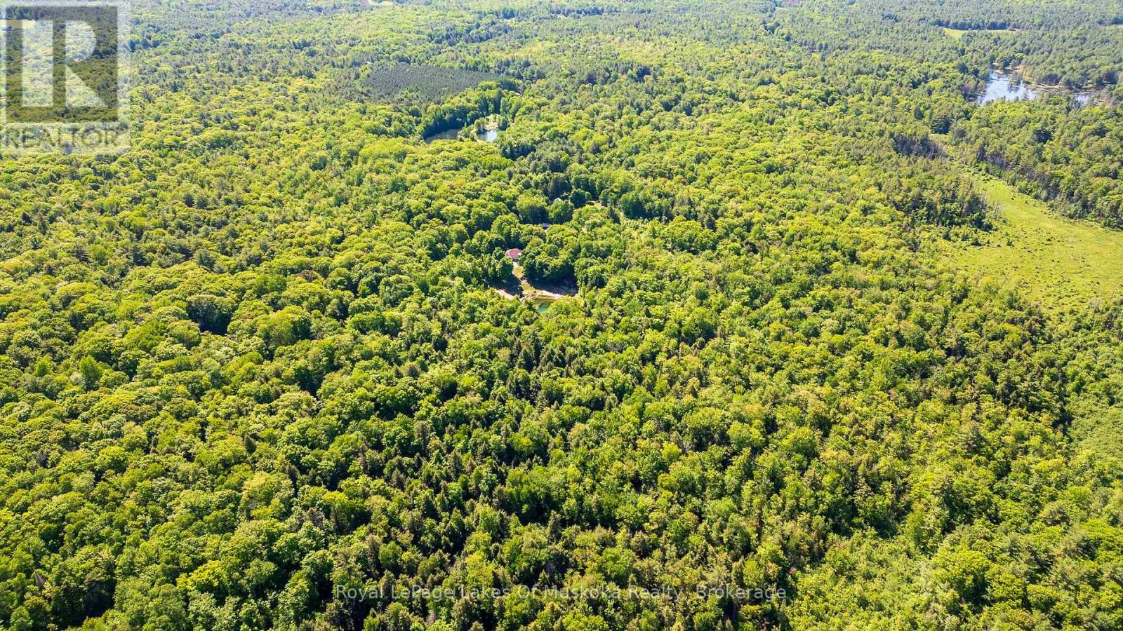 1061 South Muldrew Lake Road, Gravenhurst, Ontario  P0E 1G0 - Photo 13 - X12107988