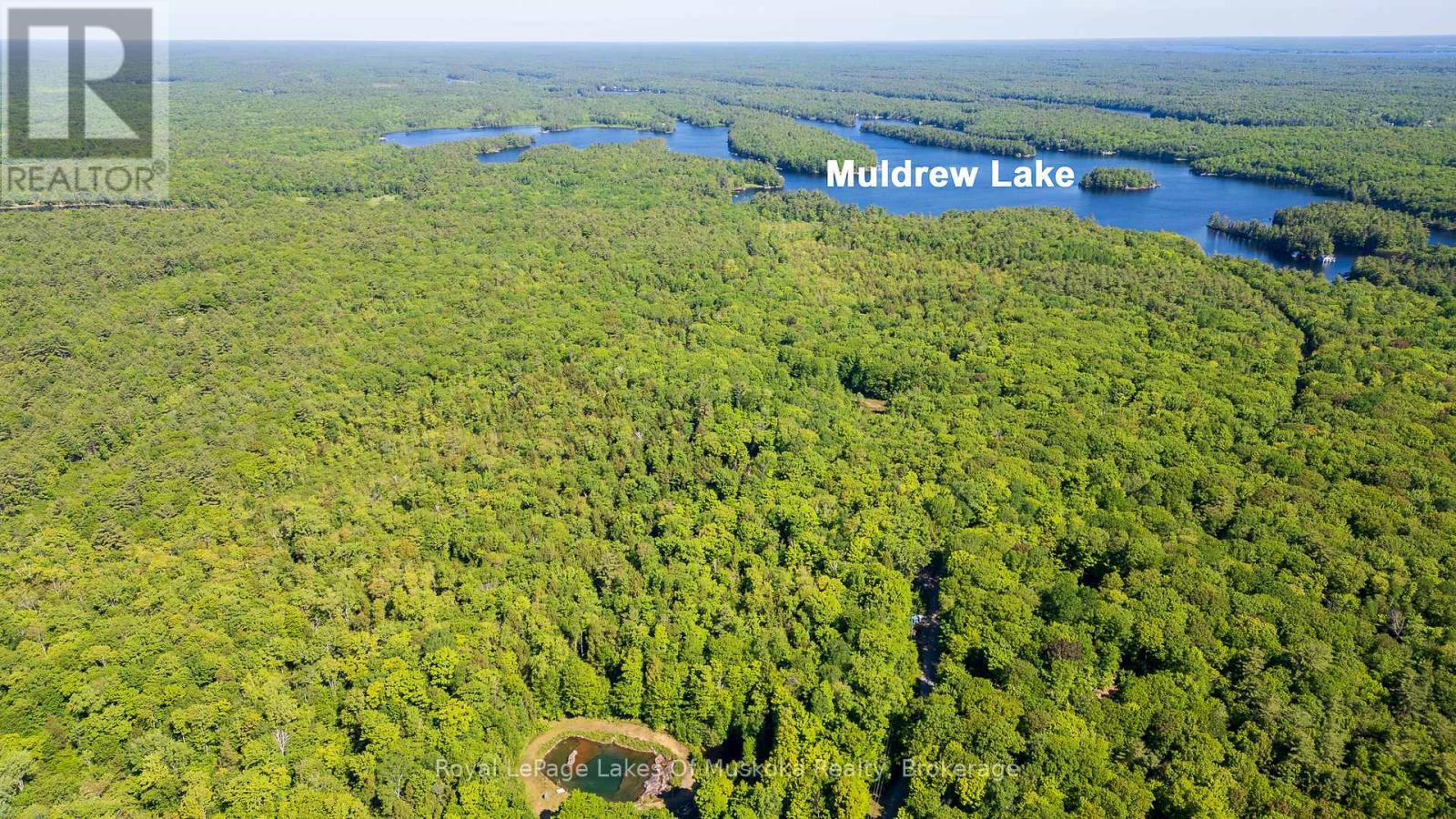 1061 South Muldrew Lake Road, Gravenhurst (Morrison), Ontario  P0E 1G0 - Photo 4 - X12107988