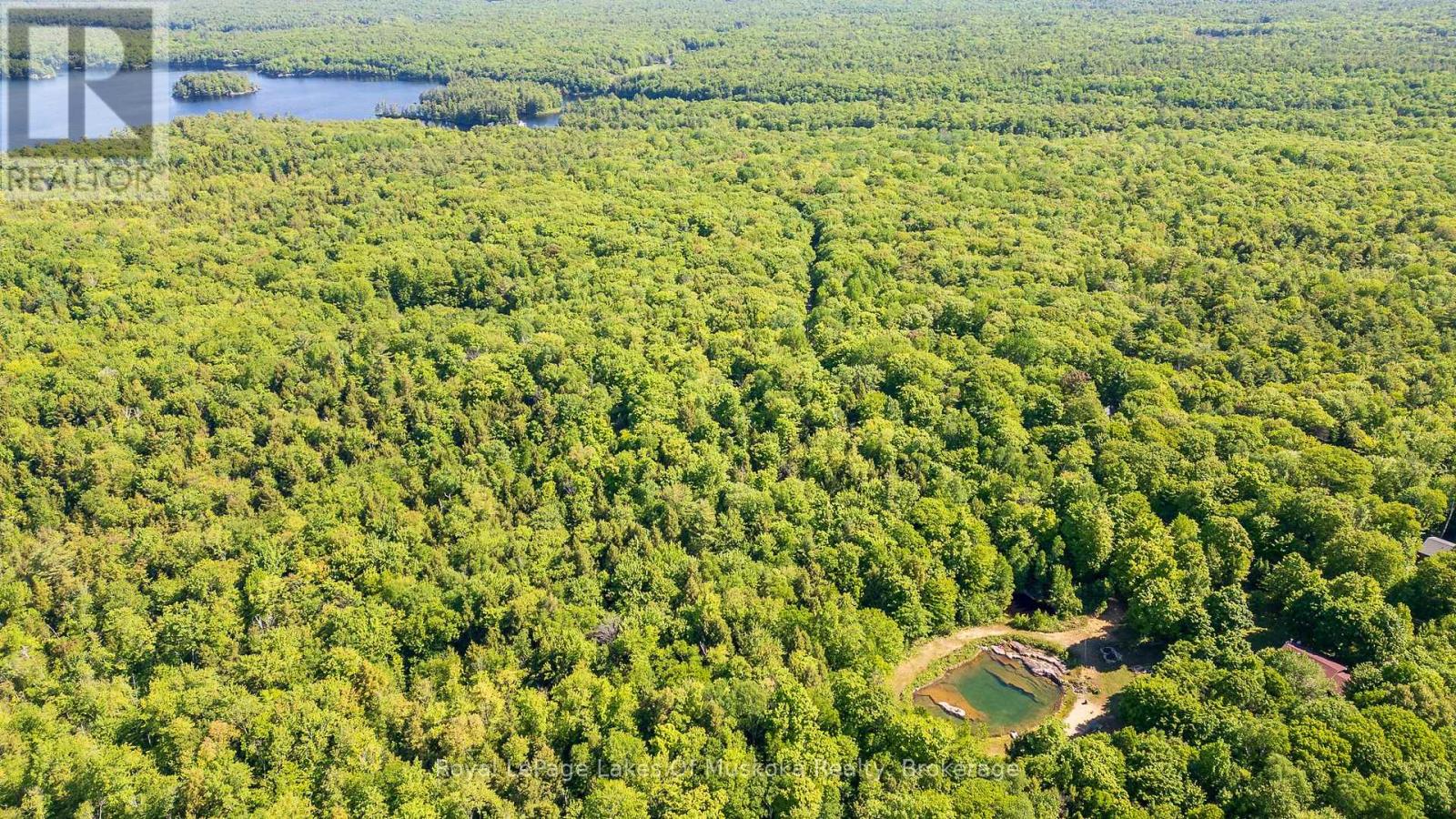 1061 South Muldrew Lake Road, Gravenhurst (Morrison), Ontario  P0E 1G0 - Photo 6 - X12107988