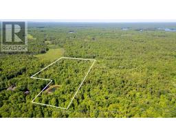 1061 South Muldrew Lake Road, Gravenhurst (Morrison), Ca