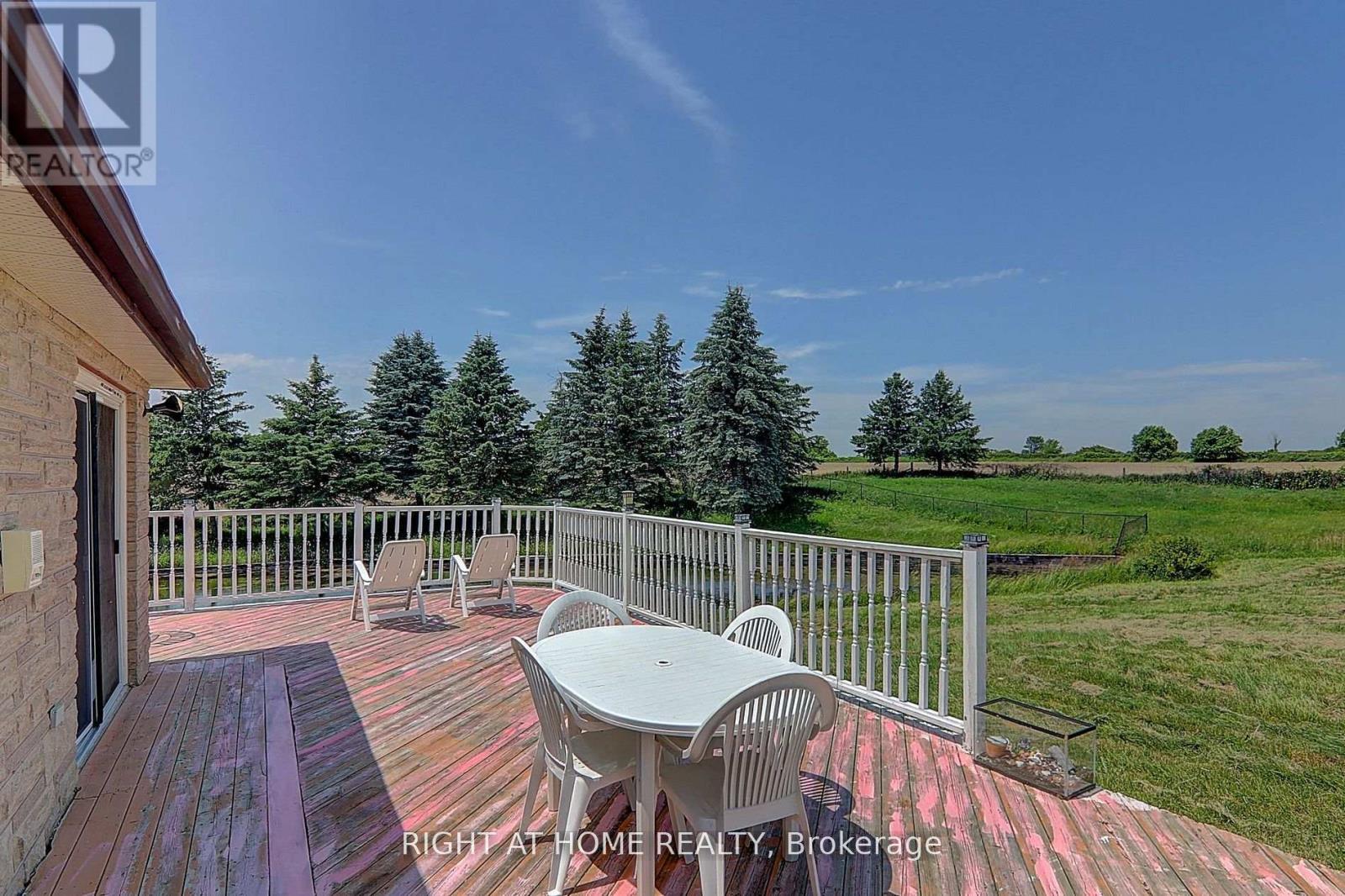 1008 Mount Albert Road, East Gwillimbury, Ontario  L0G 1V0 - Photo 8 - N12107911