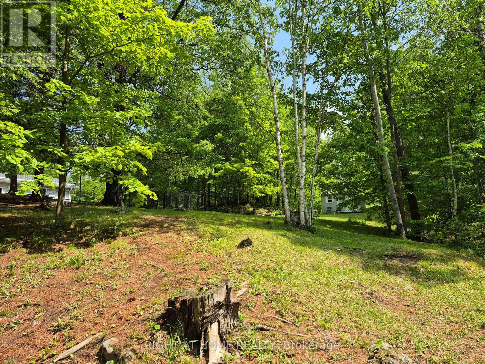 129 Loon Cove Trail, Bonnechere Valley, Ontario  K0J 1S0 - Photo 8 - X12105792