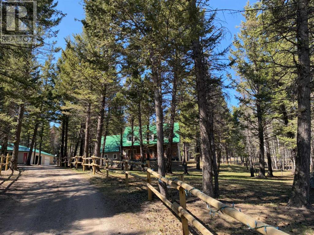 2414 65 Street, Coleman, Alberta  T0K 0M0 - Photo 10 - A2215330