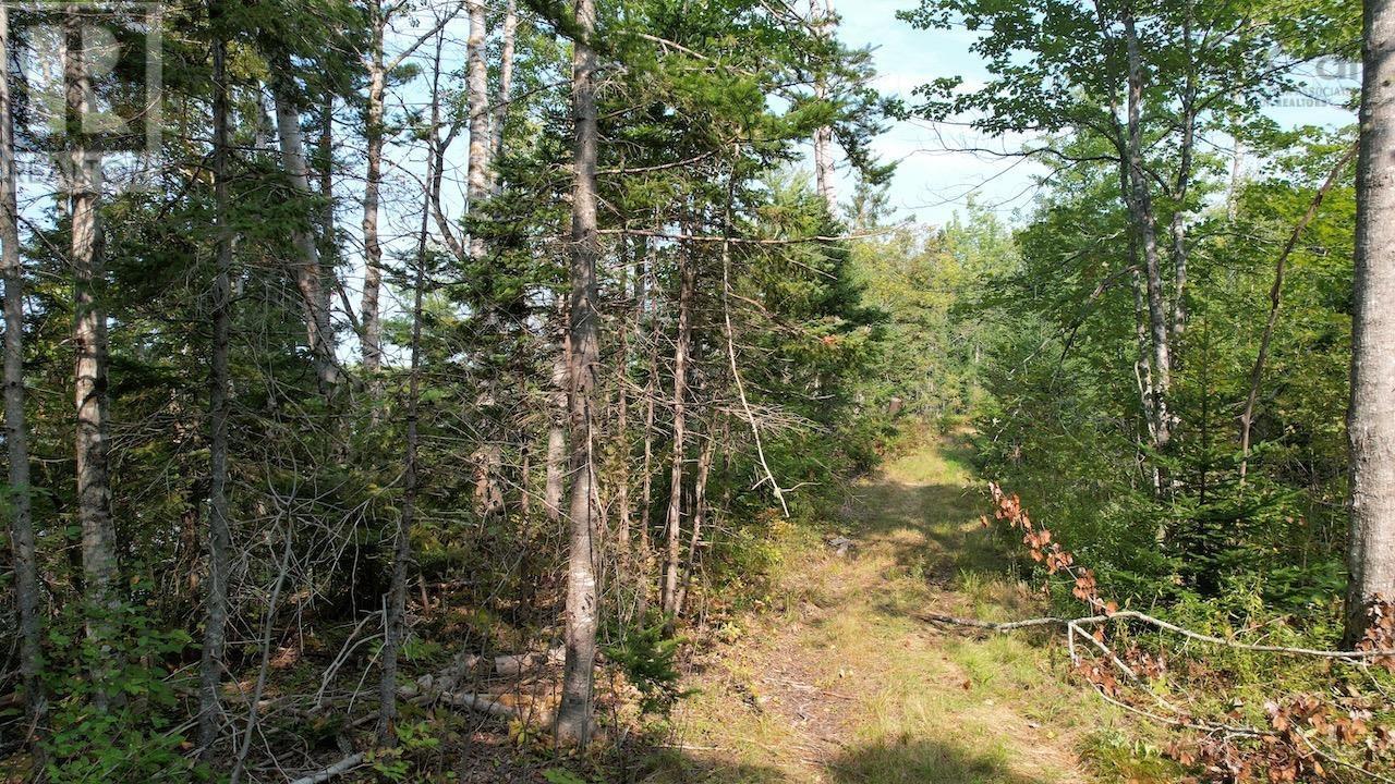 24-4 Highway 321 Highway, Roslin, Nova Scotia  B0M 1P0 - Photo 14 - 202422997