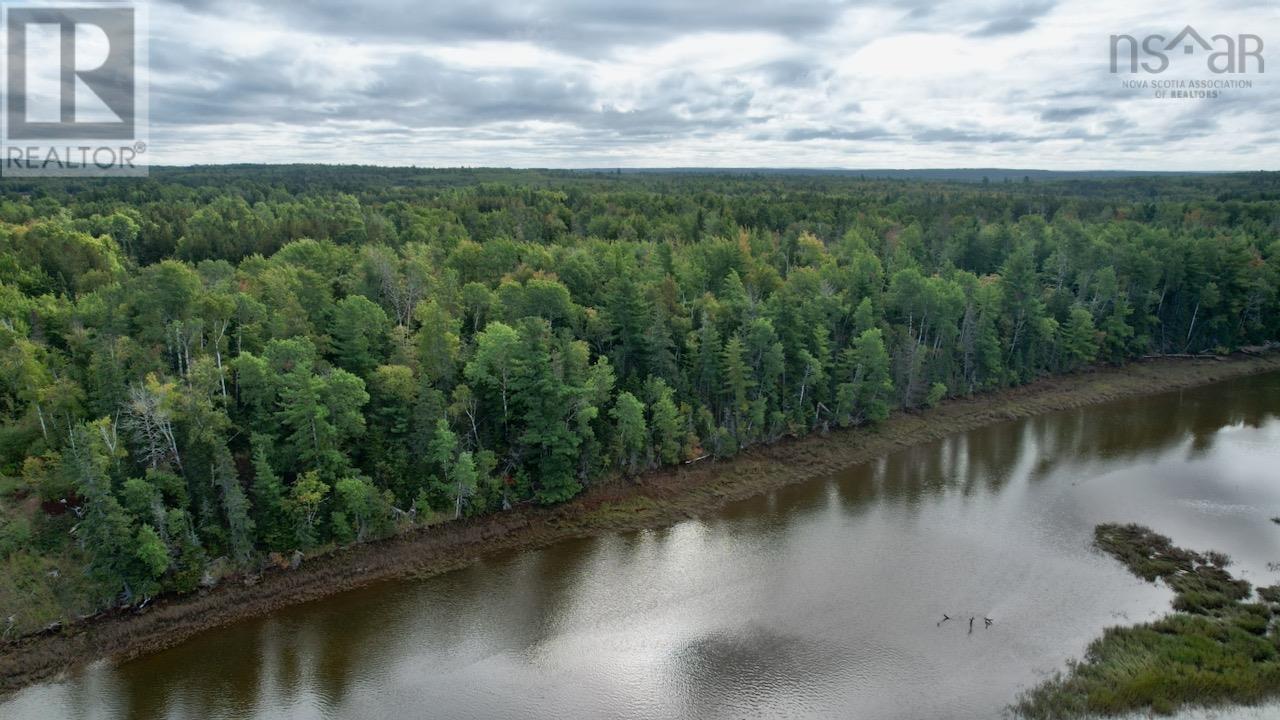 24-4 Highway 321 Highway, Roslin, Nova Scotia  B0M 1P0 - Photo 8 - 202422997