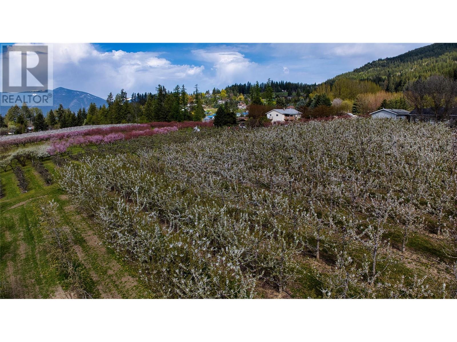 2813 3 Highway, Creston, British Columbia  V0B 1G1 - Photo 37 - 10337648