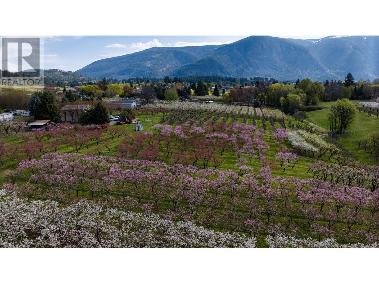 2813 3 Highway, Creston, British Columbia  V0B 1G1 - Photo 47 - 10337648