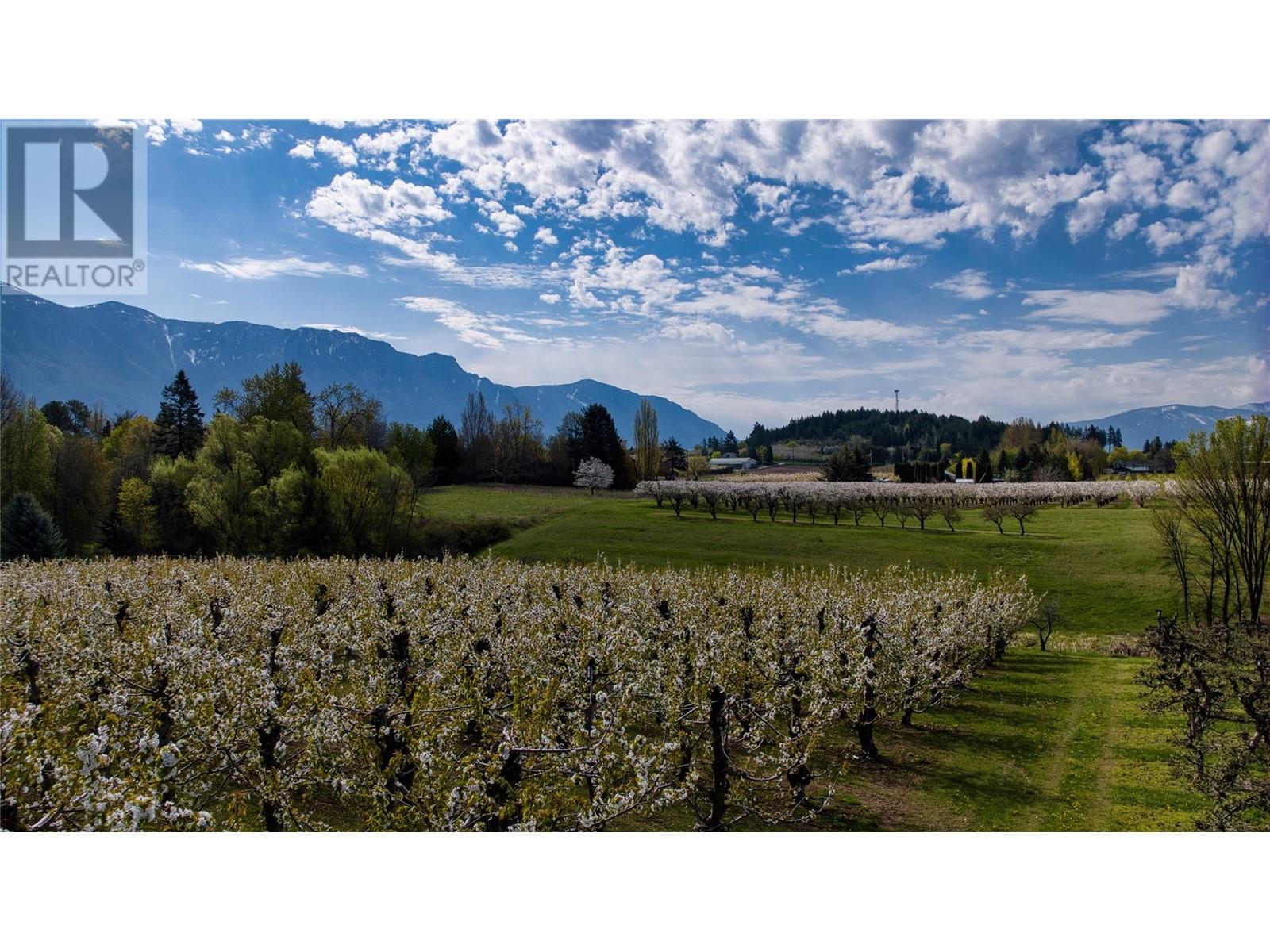 2813 3 Highway, Creston, British Columbia  V0B 1G1 - Photo 35 - 10337648