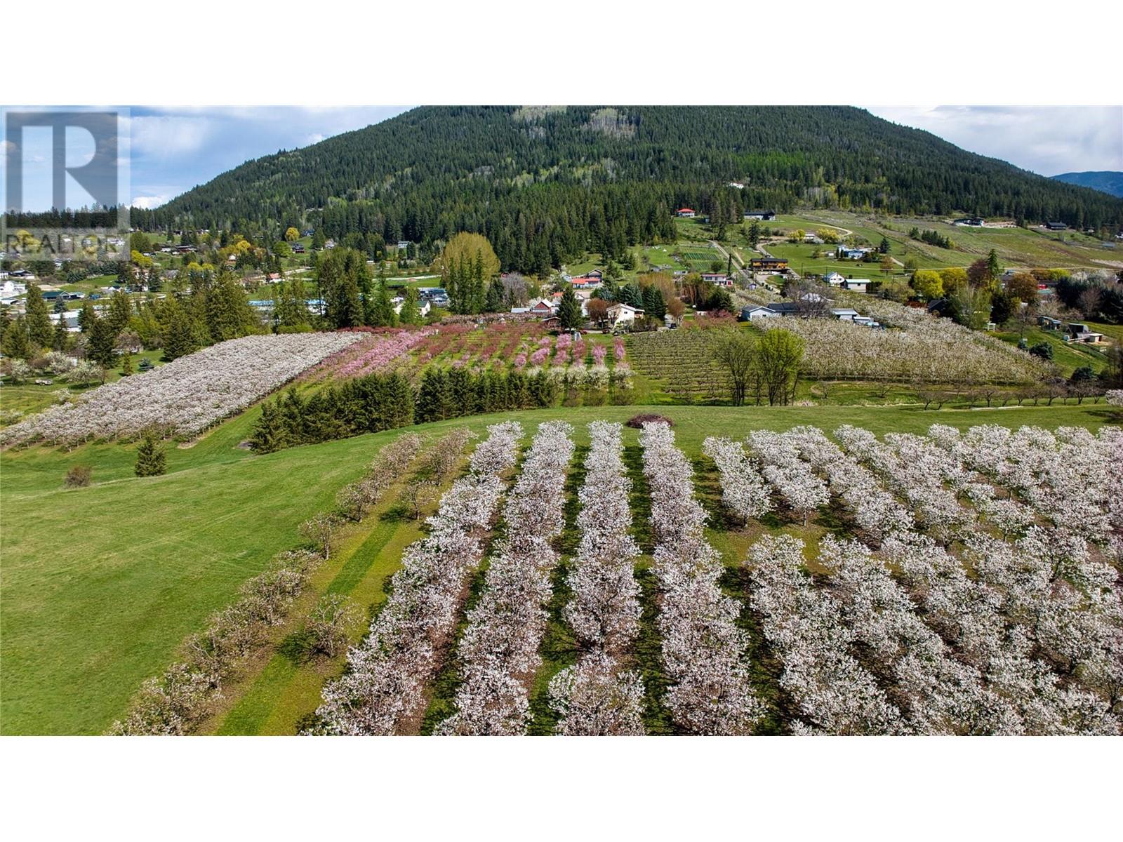 2813 3 Highway, Creston, British Columbia  V0B 1G1 - Photo 64 - 10337648
