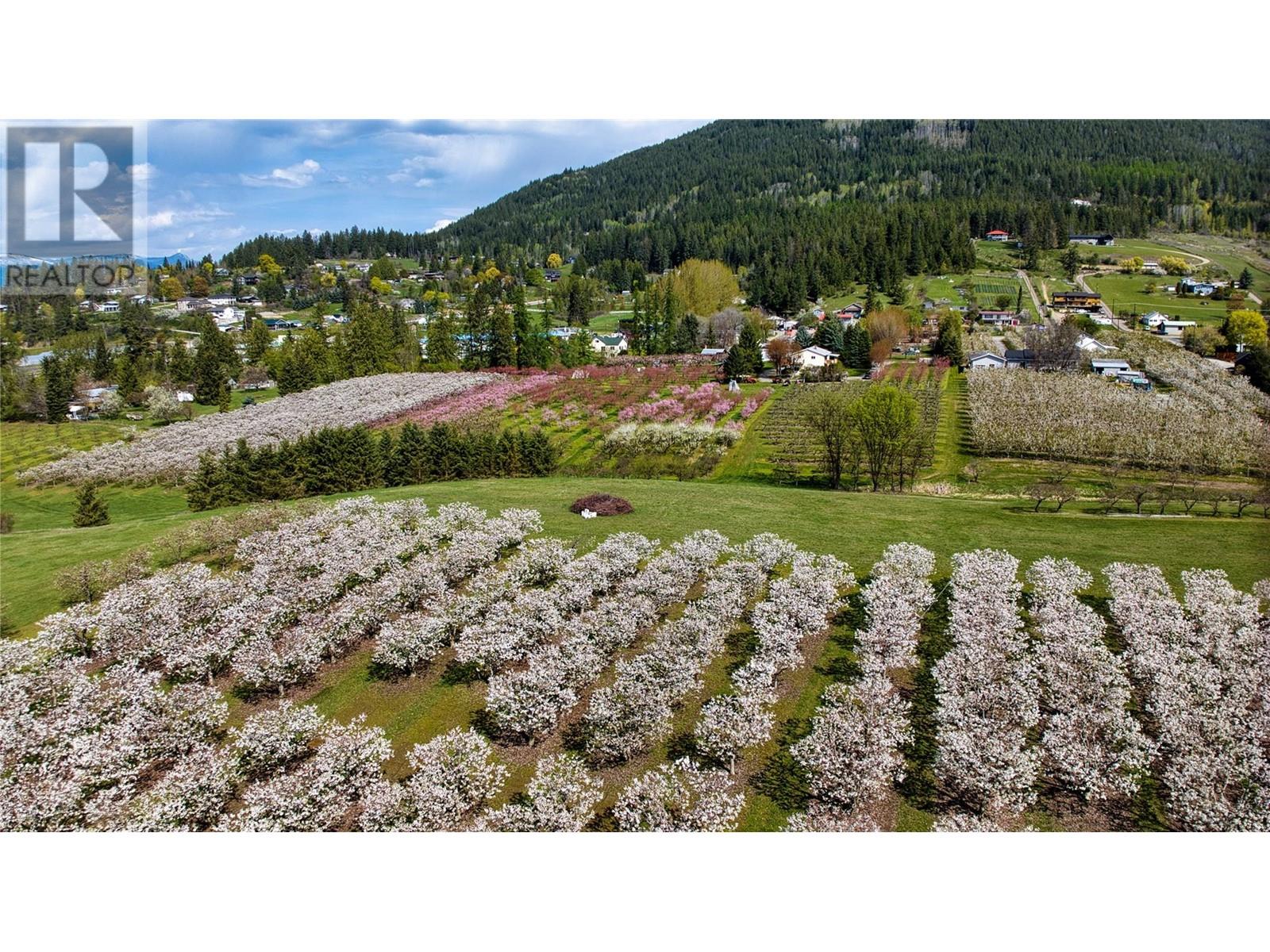 2813 3 Highway, Creston, British Columbia  V0B 1G1 - Photo 65 - 10337648