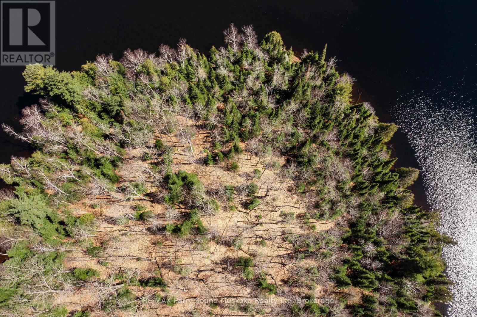 0 Rocky Reef Road, Magnetawan, Ontario  P0P 1P0 - Photo 17 - X12108265