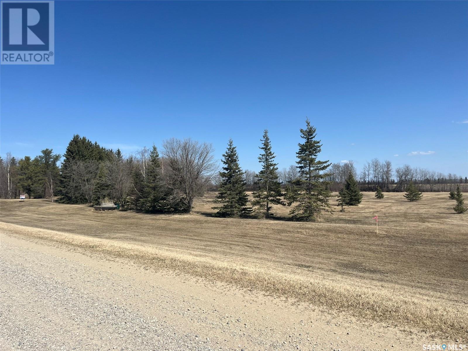 Hanson Lake Road Acreage, Torch River Rm No. 488, Saskatchewan  S0J 2K0 - Photo 14 - SK003828