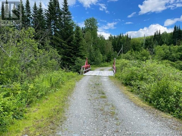 1466 Paradis Road, Saint-Jacques, New Brunswick  E7B 2W5 - Photo 8 - NB117201
