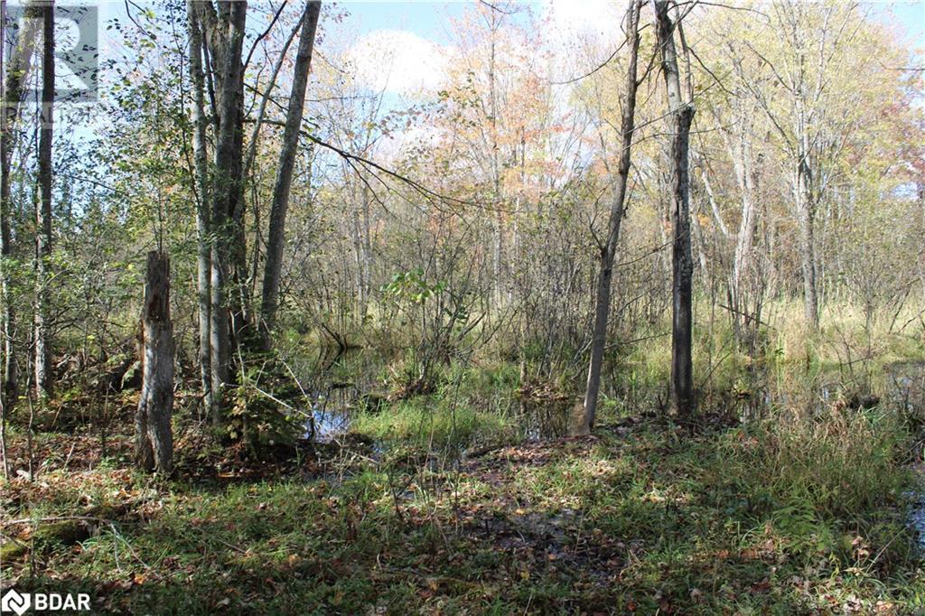 388 Woodland Drive, Oro-Medonte, Ontario  L3V 0R8 - Photo 14 - 40721883