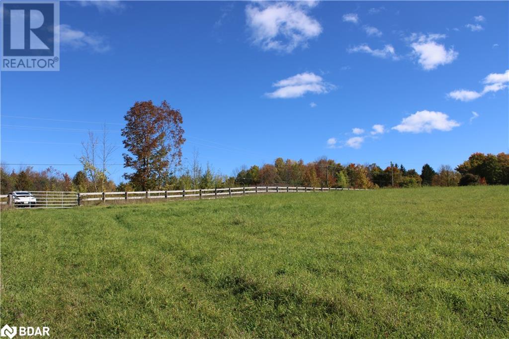 388 Woodland Drive, Oro-Medonte, Ontario  L3V 0R8 - Photo 8 - 40721883