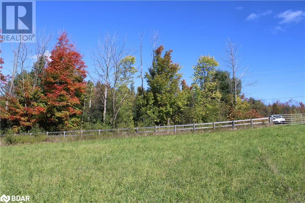 388 Woodland Drive, Oro-Medonte, Ontario  L3V 0R8 - Photo 9 - 40721883