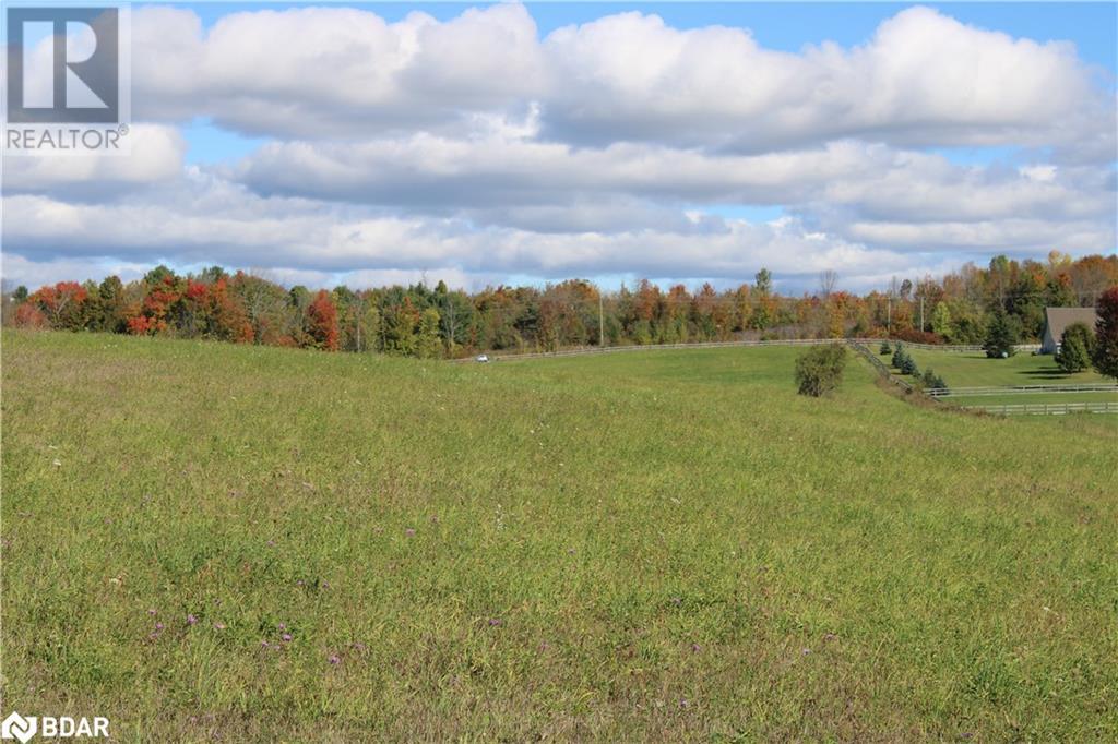 388 Woodland Drive, Oro-Medonte, Ontario  L3V 0R8 - Photo 20 - 40721883