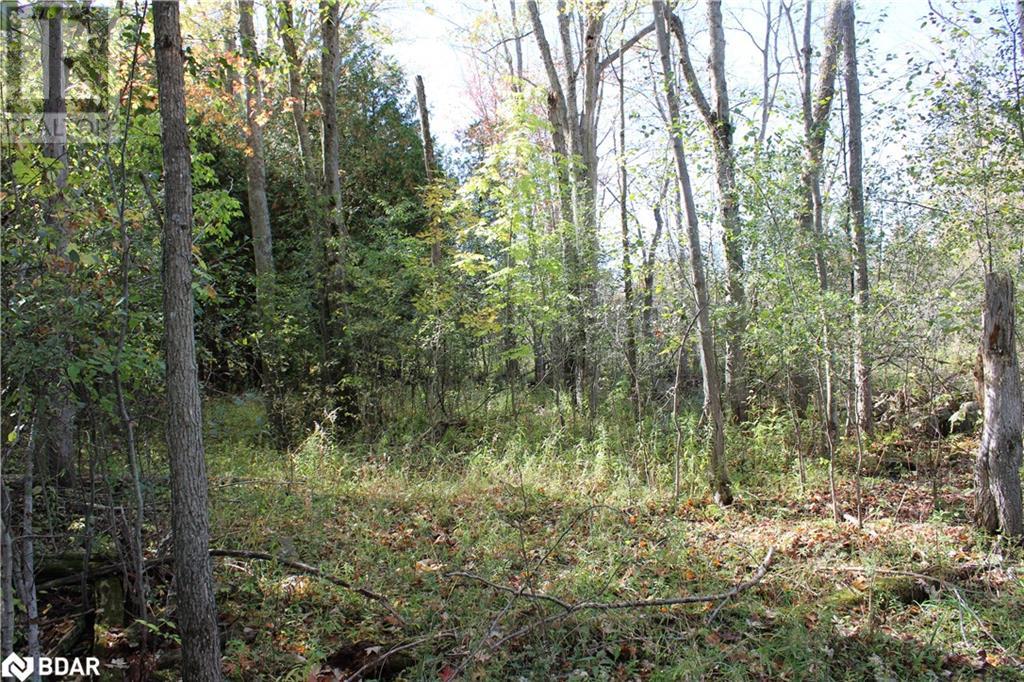 388 Woodland Drive, Oro-Medonte, Ontario  L3V 0R8 - Photo 15 - 40721883