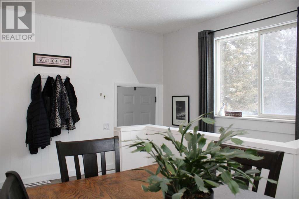 920 Main Avenue E, Sundre, Alberta  T0M 1X0 - Photo 8 - A2202563