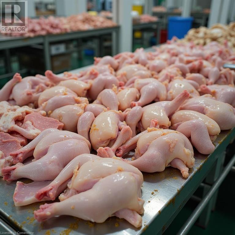 96 Second Road E, Hamilton, Ontario  L8J 3J2 - Photo 49 - 40721947