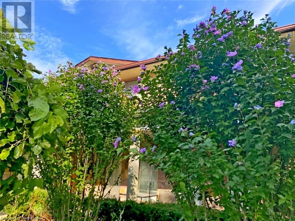 96 Second Road E, Hamilton, Ontario  L8J 3J2 - Photo 24 - 40721947