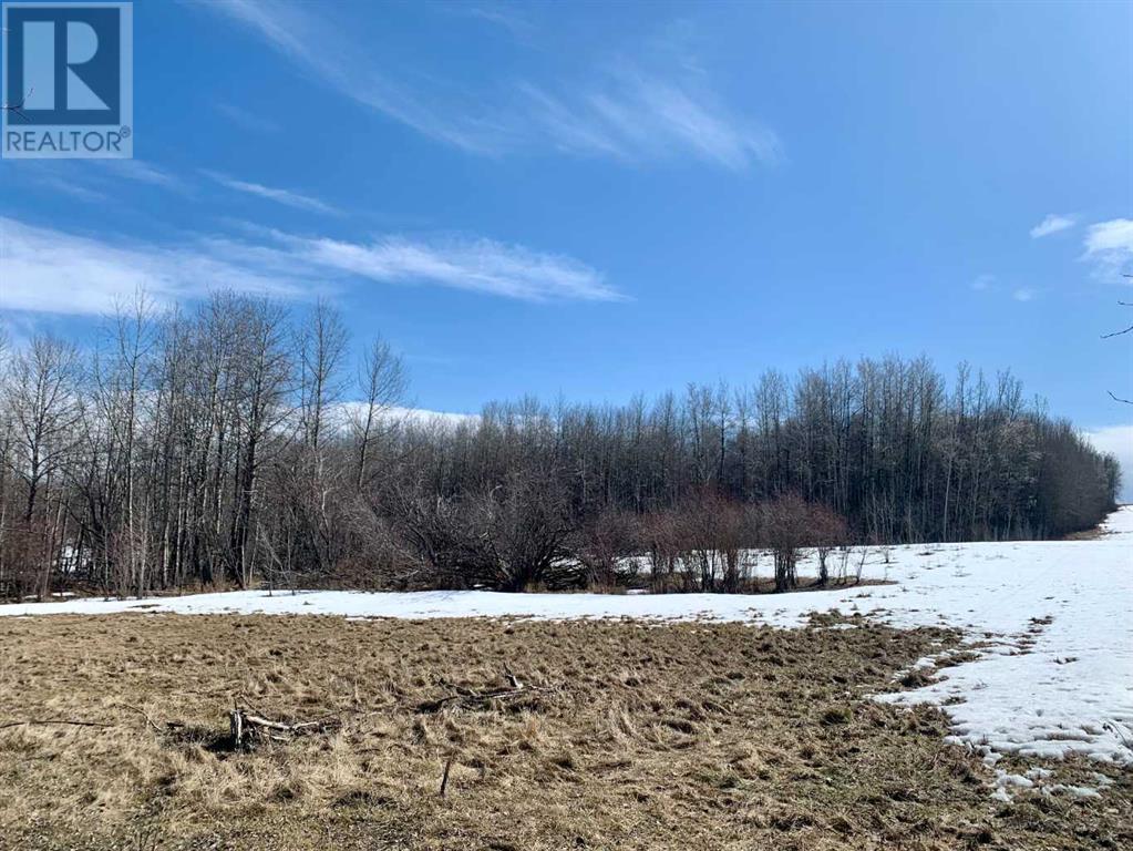 Township Road 505 & Range Road 75, Rural Brazeau County, Alberta  T0E 1Z0 - Photo 1 - A2211461